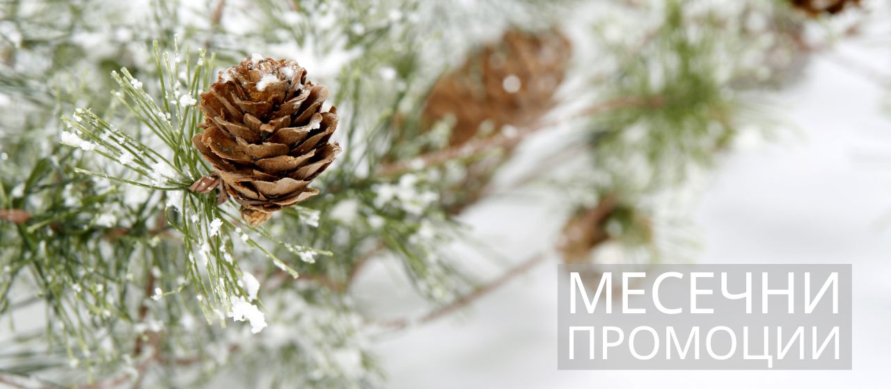 LR промоции за месеца